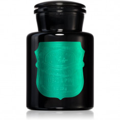 Paddywax Apothecary Noir Tabac & Pine lumânare parfumată 226 g