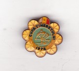 Bnk ins Insigna Cupa Tineretului 1974 sporturi de iarna, Romania de la 1950