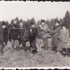 HST M384 Poză vânători cu trofeu România anii 1930