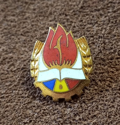 Insigna Pionier foto