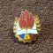 Insigna Pionier