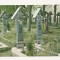 RF16-Carte Postala- Sapanta, jud. Maramures, necirculata 1977