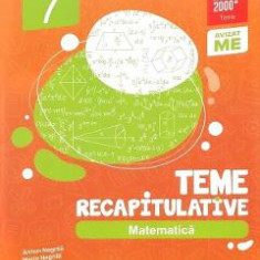 Matematica - Clasa 7 - Teme recapitulative - Anton Negrila, Maria Negrila