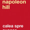 Calea Spre Succes Ed. Ii, Napoleon Hill - Editura Curtea Veche
