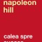 Calea Spre Succes Ed. Ii, Napoleon Hill - Editura Curtea Veche