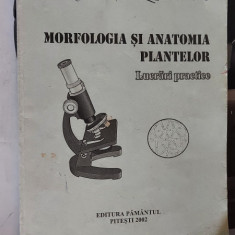 MORFOLOGIA SI ANATOMIA PLANTELOR LUCRARI PRACTICE SOARE , BIBICA DRAGHICI