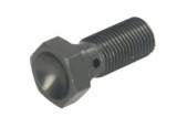 Șurub conductă fr&acirc;nă M10x1, colour: Titanium (for 1 pipe), Trw