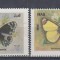 IRAK IRAQ 1998 FLUTURI SERIE MNH