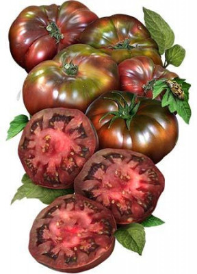 Tomate , rosii soiul BLACK KRIM - 10 seminte pentru semanat foto