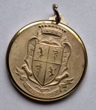 Medalie cu toarta, medalion stema - heraldica