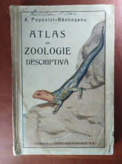 ATLAS DE ZOOLOGIE DESCRIPTIVA - A. POPOVICI BAZNOSANU foto