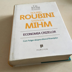 Roubini/ Mihm, Economia crizelor. Curs-fulger despre viitorul Finanțelor