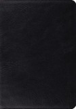 Study Bible-ESV