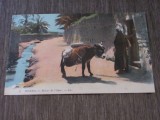 Cumpara ieftin Carte Poștală &bdquo;Biskra oraș din Algeria &ndash; Revenirea din Oază&rdquo;, Ilustrație cu Măgar și Localnic, Piesă de Colecție Orientală