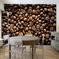 Fototapet vlies - Roasted coffee beans - 350 x 270 cm foto