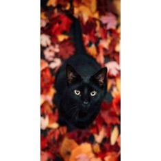 Husa Personalizata HUAWEI Mate 10 Black Cat