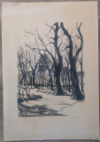 Carare prin padure// litografie 1959, Peisaje, Ulei, Realism