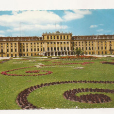 AT2 -Carte Postala-AUSTRIA-Viena, Schonbrunn, circulata 1969