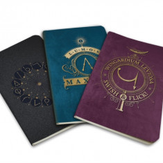 Harry Potter: Spells Pocket Notebook Collection (Set of 3)