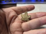 Insigna vintage argint Canada, America de Nord
