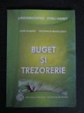 Buget si trezorerie-Luise Mleden, Gheorghe Manolescu