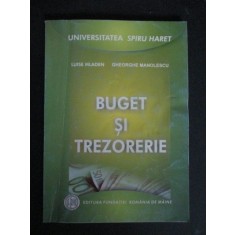 Buget si trezorerie-Luise Mleden, Gheorghe Manolescu