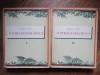 O ztracen&eacute;m &scaron;evci 2 VOLUME - Karel V&aacute;clav Rais, 1963