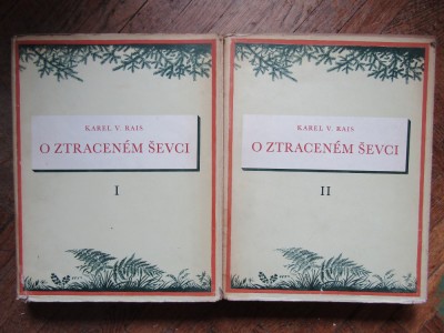 O ztracen&amp;eacute;m &amp;scaron;evci 2 VOLUME - Karel V&amp;aacute;clav Rais foto