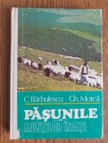 Pășunile munților &icirc;nalți - C. Bărbulescu, Gh. Motcă