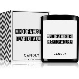 Candly &amp; Co. Mind of a hustler Heart of a queen lum&acirc;nare parfumată 250 g