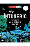 Pe intuneric, Niculescu