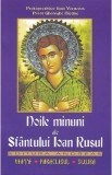 Noile minuni ale Sfantului Ioan Rusul - Gheorghe Nicolae