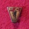 Insigna fotbal FC VORWARTS BERLIN - Germania