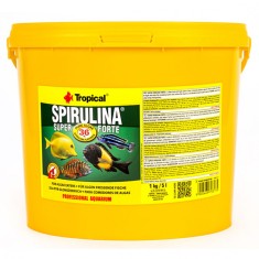 TROPICAL Spirulina Forte 36% 5L/1kg foto