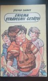 Enigma străvechii cetățui - Ștefan Zaides