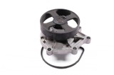 HEPU P428 Pompă de apă, răcire motor