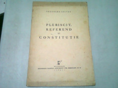 PLEBISCIT, REFEREND SI CONSTITUTIE - GHEORGHE SELTEAN foto