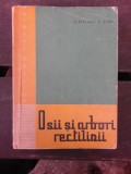 OSII SI ARBORI RECTILINII - A. RIPIANU