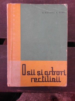 OSII SI ARBORI RECTILINII - A. RIPIANU foto
