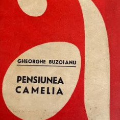 Pensiunea Camelia Gheorghe Buzoianu