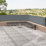 VidaXL Copertină laterală retractabilă, antracit, 117x1200 cm