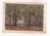 FA105 -Carte Postala- RUSIA - State Tretyakov Gallery, Ivanov A.A. - In the Ariccia Park, circulat 1951