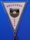 Fanion volei - FEDERATIA de VOLEI din CEHIA si SLOVACIA (1990/1992)