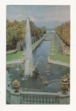 FA48-Carte Postala- RUSSIA- Leningrad, Petrodvorets, necirculata, Fotografie