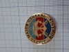 Insigna militara statul major al general.