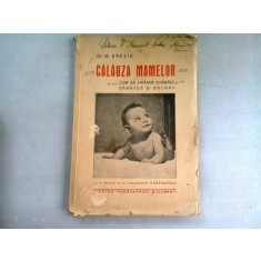 CALAUZA MAMELOR. CUM SA HRANIM SUGARUL SANATOS SI BOLNAV - M. BREZIS