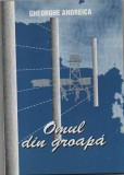 Omul din groapa