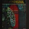 Irlandezul- Sidney Sheldon