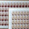 ✅RO 2005 ,LP 1690 &quot; Nou pontificat - Benedict al XVI-lea &quot;,coli de 55 serii, MNH