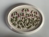 Placheta suedeza din ceramica de Studio GABRIEL Linnaea borealis floarea geamana